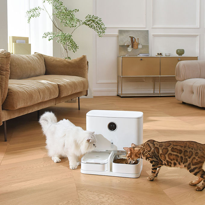 Automatische Fütterungszufuhr und Wasserspender LCD des Haustier-6L zeigen für Katzen/Hunde an 0